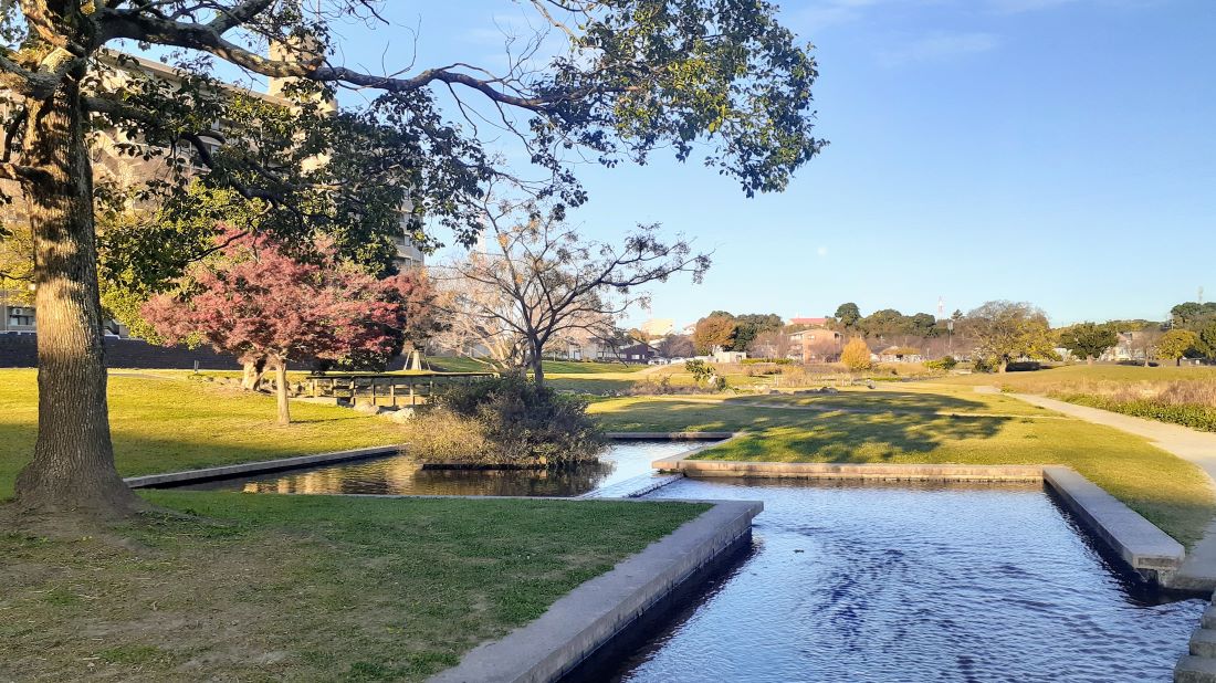 公園